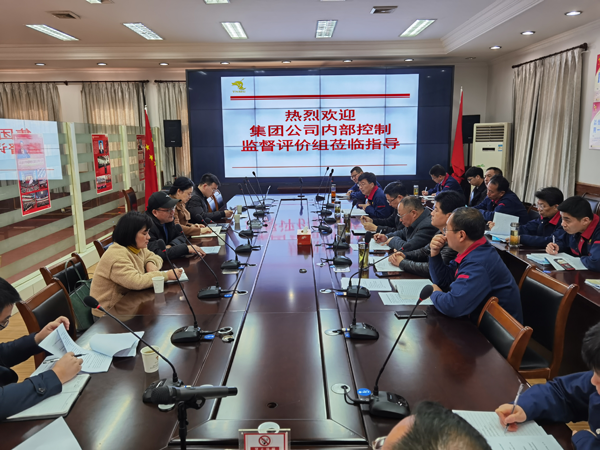 集團(tuán)公司到公司開展內(nèi)控自評(píng)檢查工作 集團(tuán)公司到公司開展內(nèi)控自評(píng)檢查工作